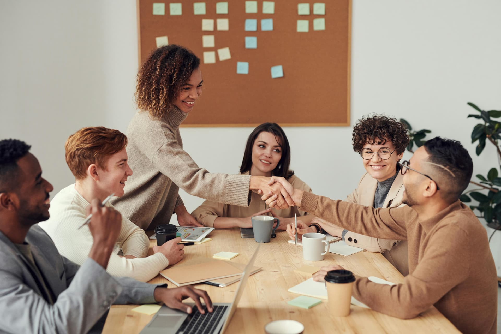 Mydnes team collaboration